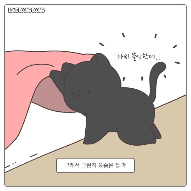 검은 고양이 깜돌이의 귀여운 버릇.jpg | 인스티즈