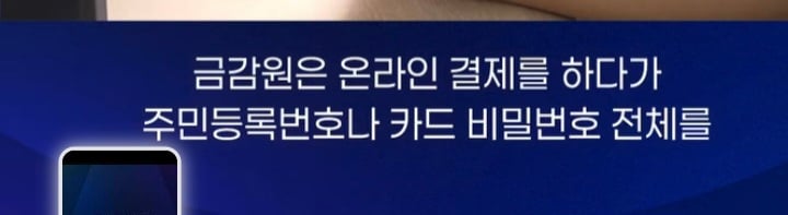 온라인 카드결제시 해킹페이지 유의 | 인스티즈