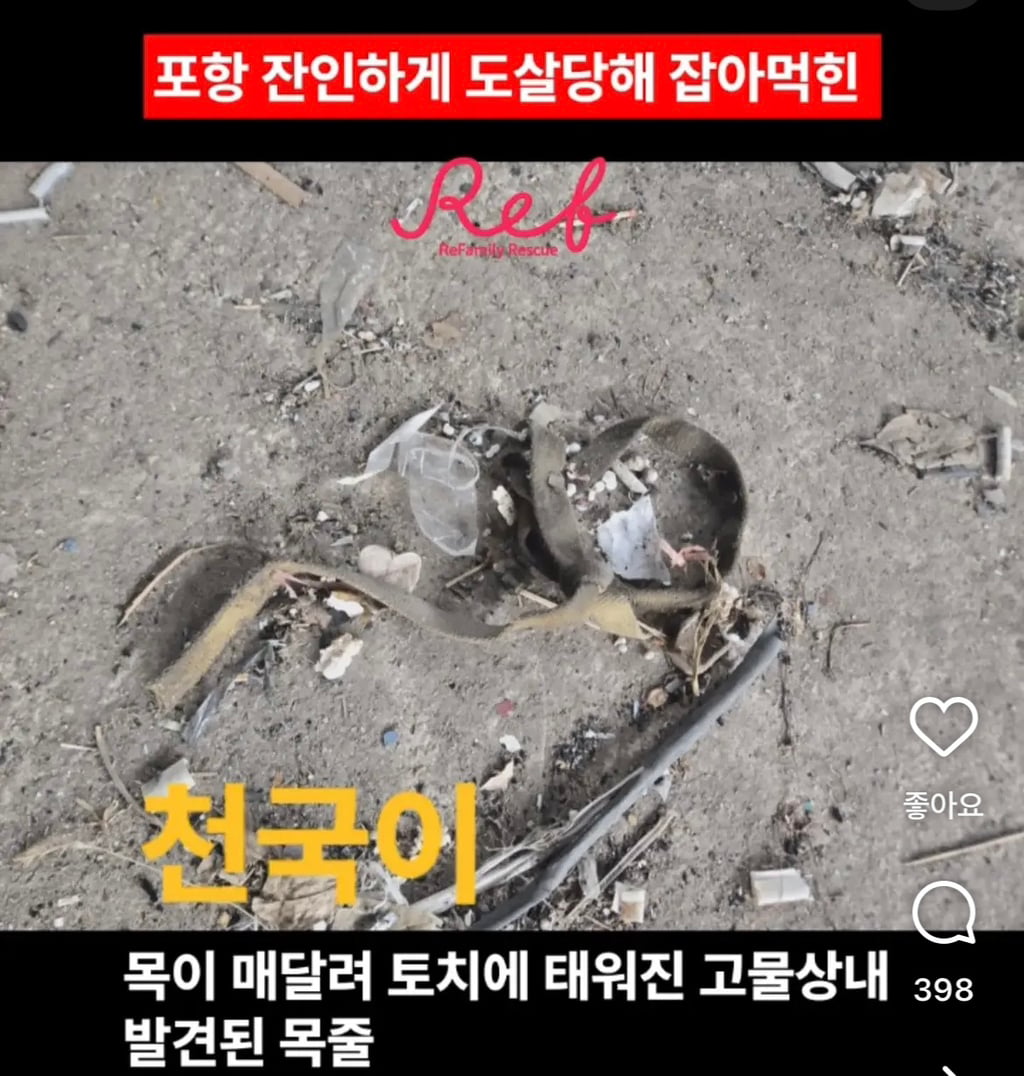 산채로 목매달려 괴롭게 불타죽은 천국이 탄원 서명 부탁해 (잔인한사진x) | 인스티즈