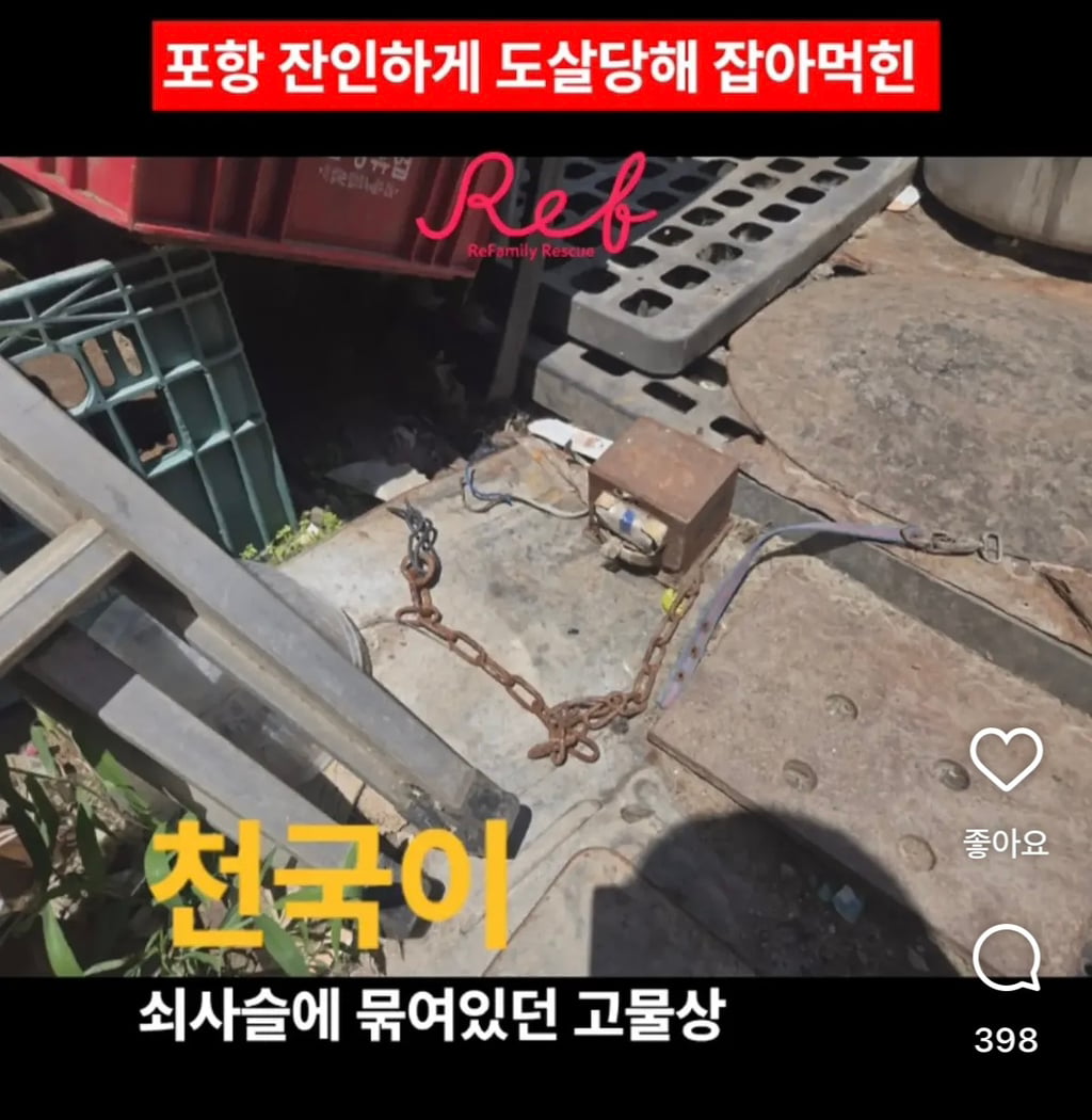 산채로 목매달려 괴롭게 불타죽은 천국이 탄원 서명 부탁해 (잔인한사진x) | 인스티즈