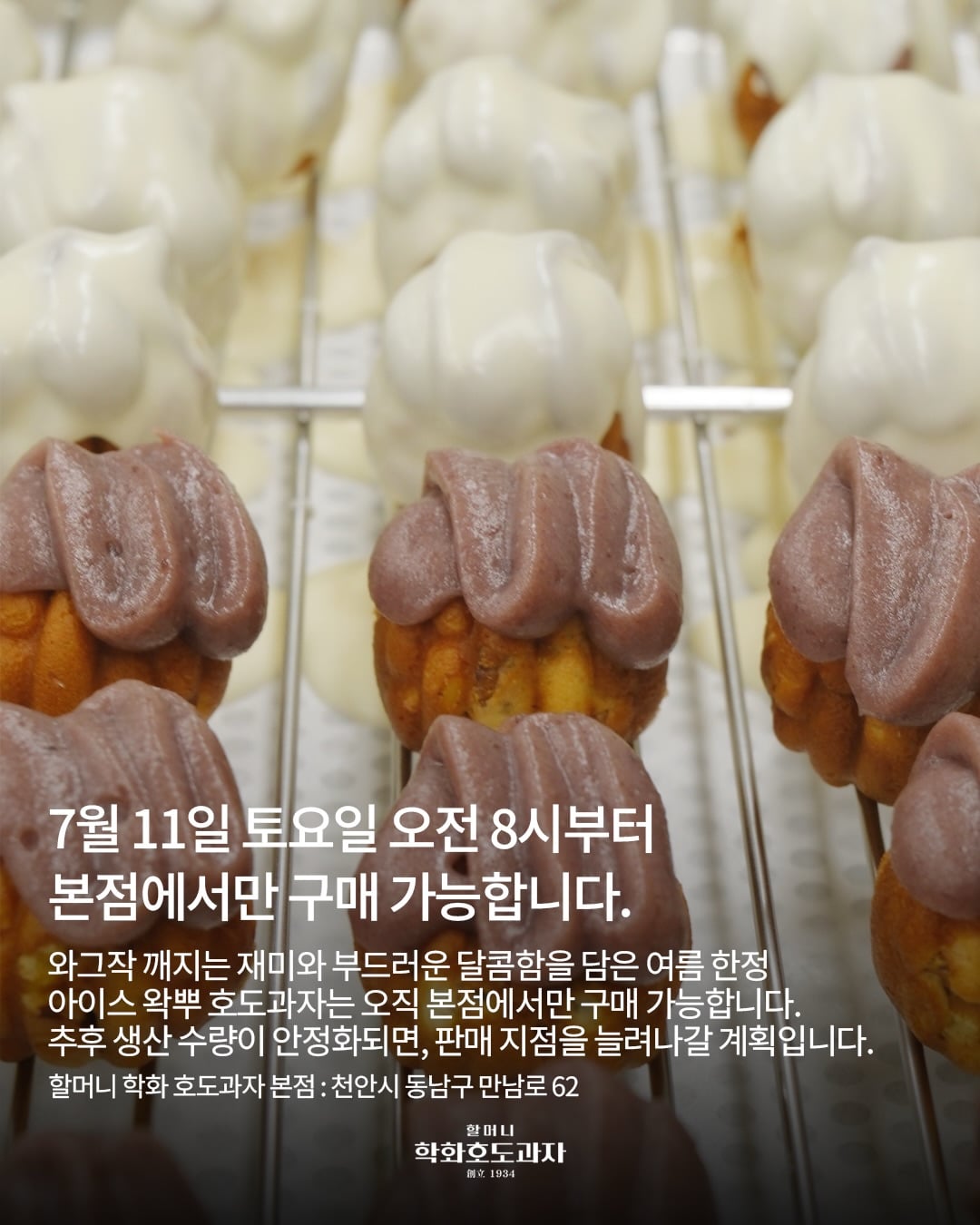학화호도과자 아이스 왁뿌 호도과자 판매 | 인스티즈