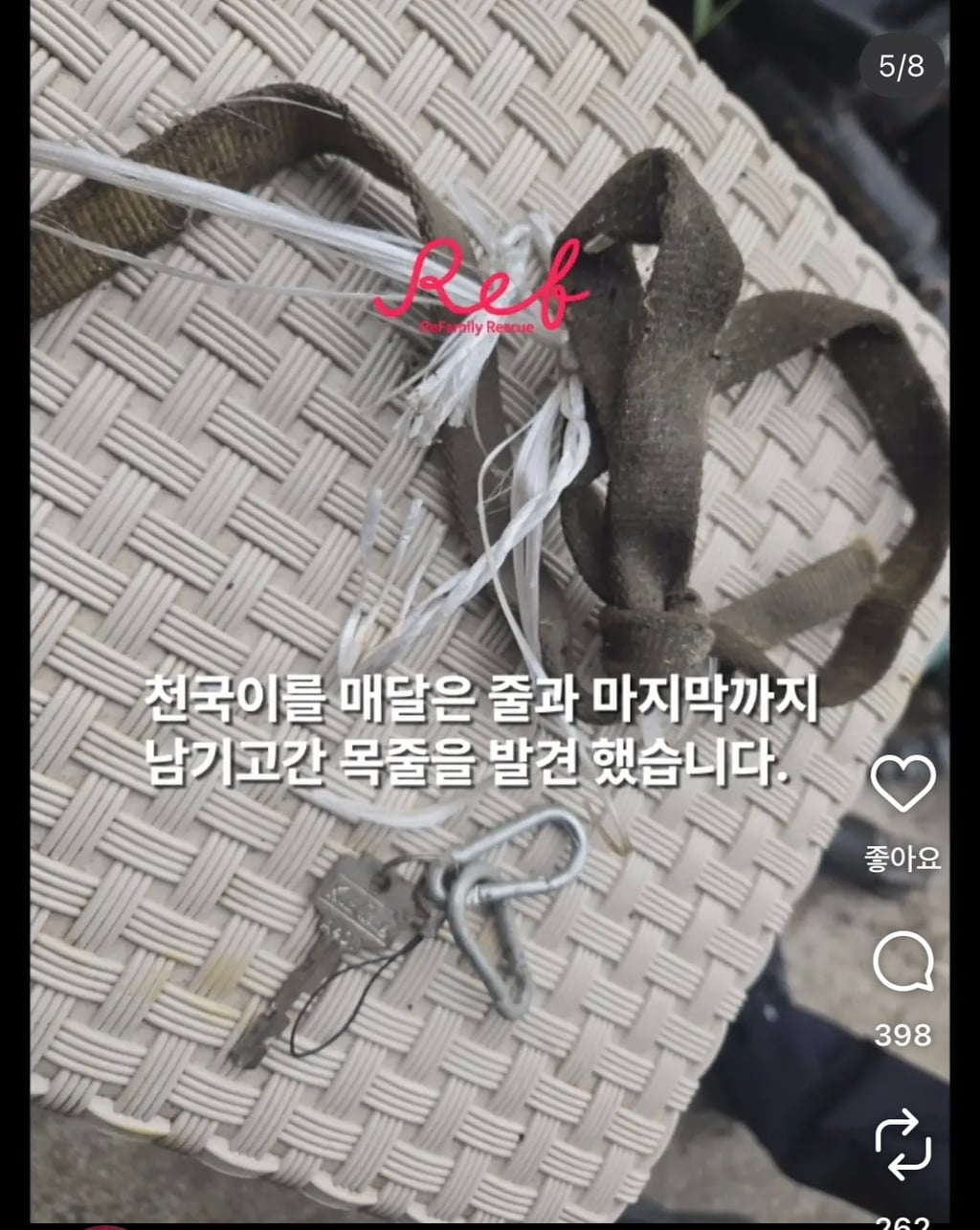 산채로 목매달려 괴롭게 불타죽은 천국이 탄원 서명 부탁해 (잔인한사진x) | 인스티즈