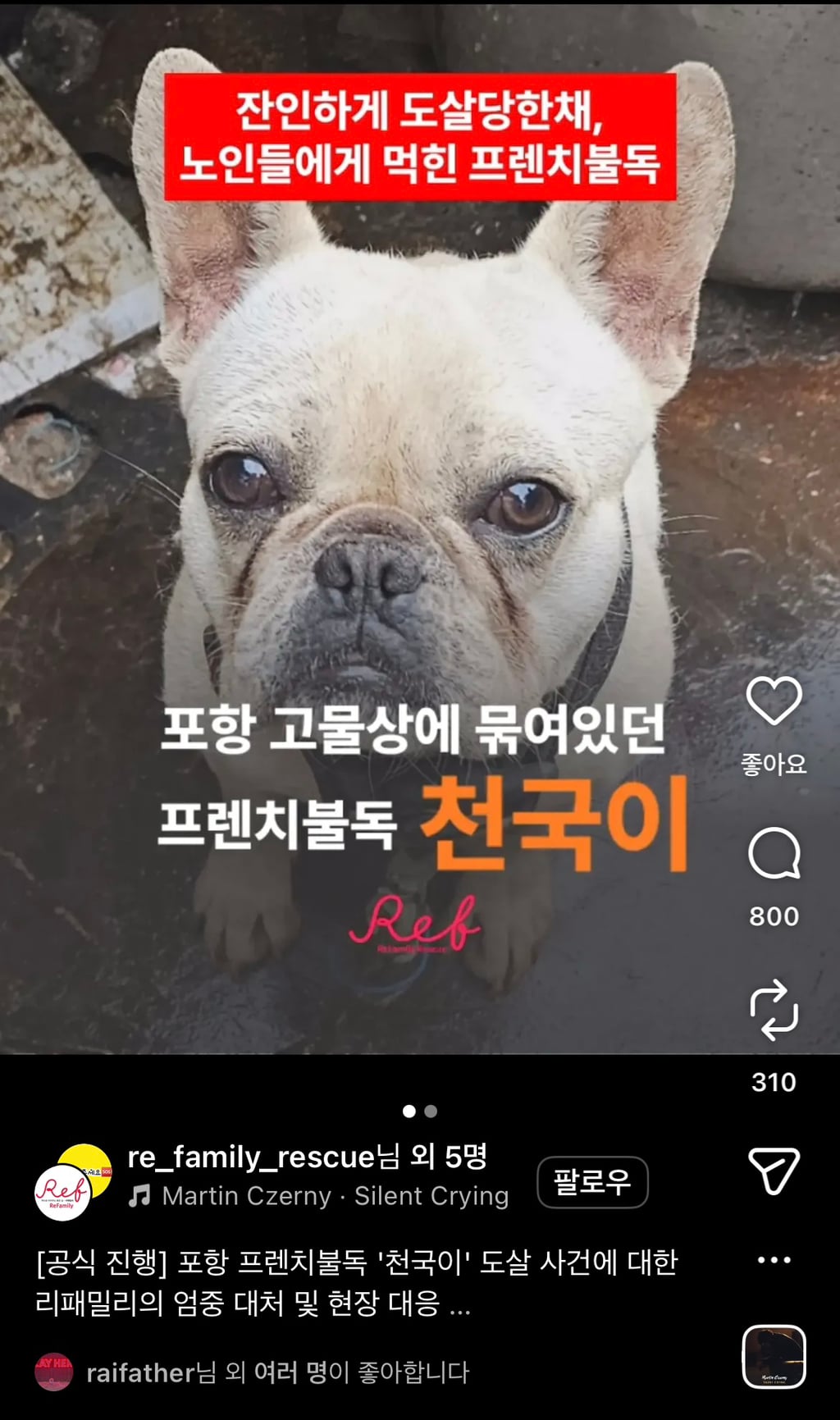 산채로 목매달려 괴롭게 불타죽은 천국이 탄원 서명 부탁해 (잔인한사진x) | 인스티즈