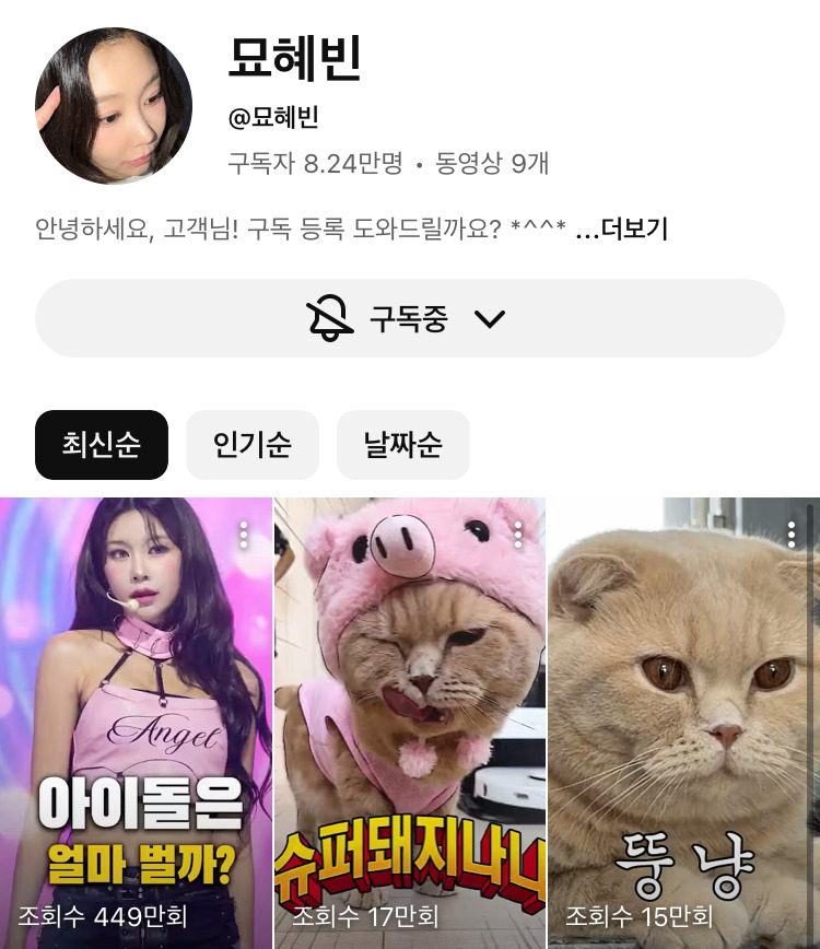 일 없거나 활동종료한 아이돌들 유튜브 많이한다 | 인스티즈