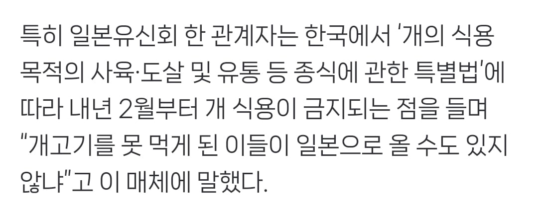 "한국서 먹으러 올까 봐”…일 여권, '개·고양이 식용 금지법' 추진 | 인스티즈
