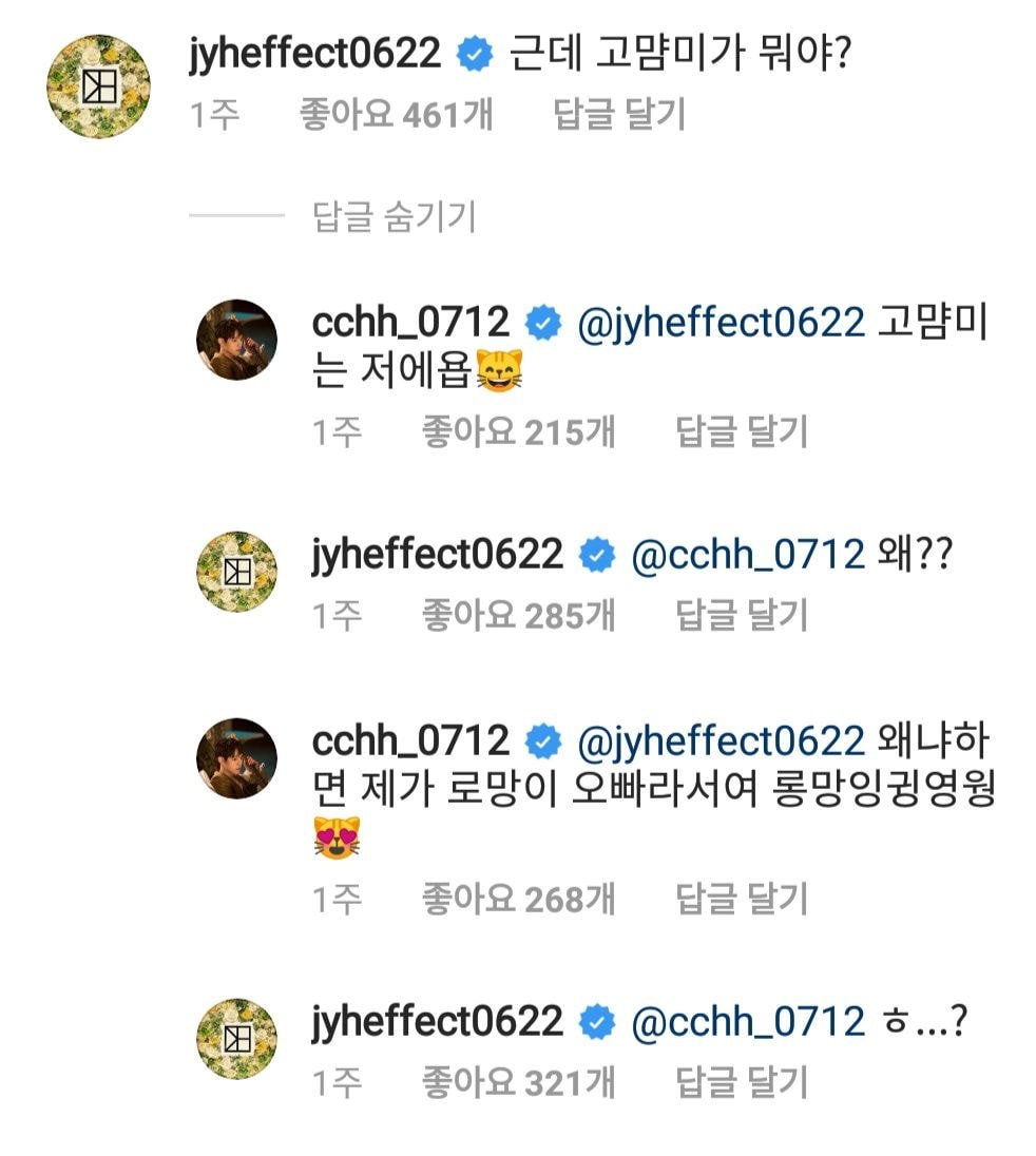 고양이를 얼마나 사랑하는 건지 감도 안오는 남자아이돌 | 인스티즈