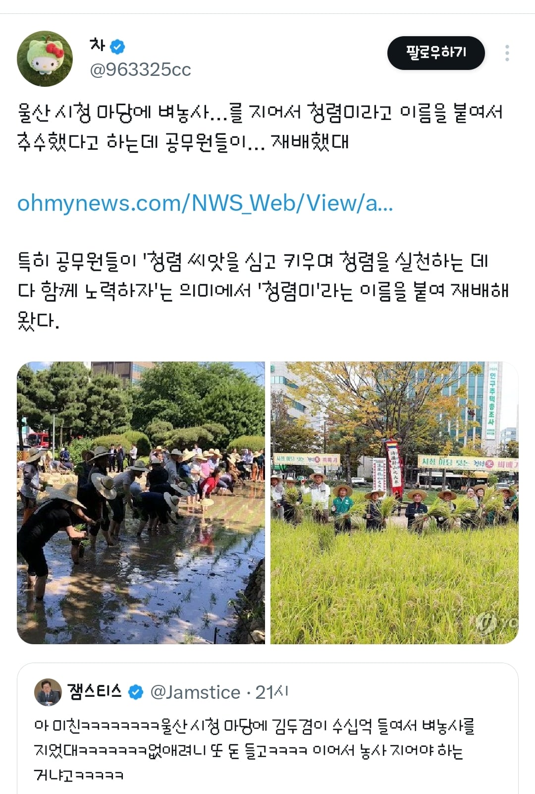울산 시청 마당에 김두겸 전 시장이 수십억 들여서 벼농사를 지었대.twt | 인스티즈