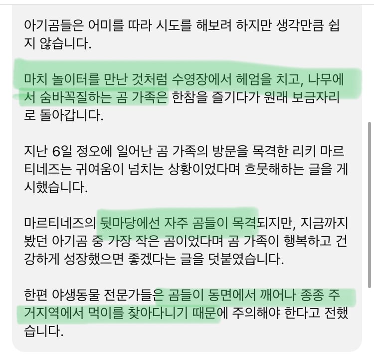가정집 수영장에 피서 온 곰세마리 가족 | 인스티즈