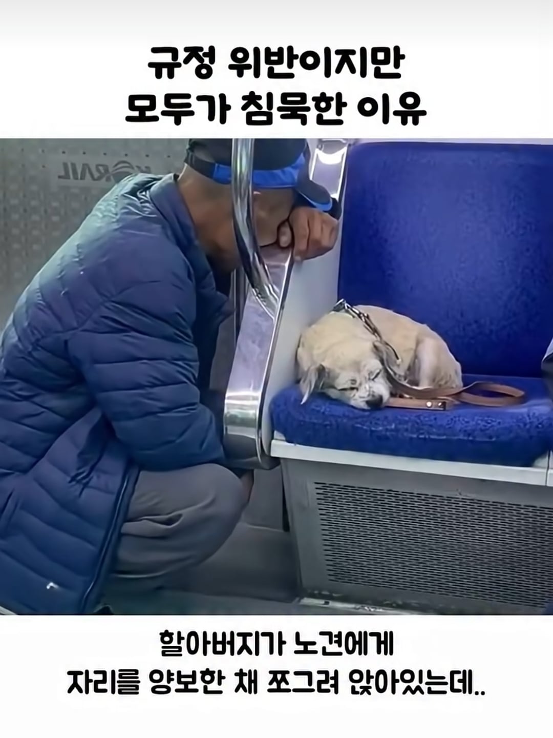 규정 위반이지만 모두가 침묵한 이유 | 인스티즈