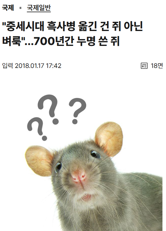 페스트를 옮긴건 쥐가 아닌 벼룩이었습니다 | 인스티즈