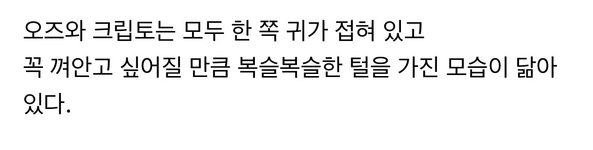 슈퍼맨 영화에 나오는 초능력 외계 강아지 크립토의 실제 모델 | 인스티즈