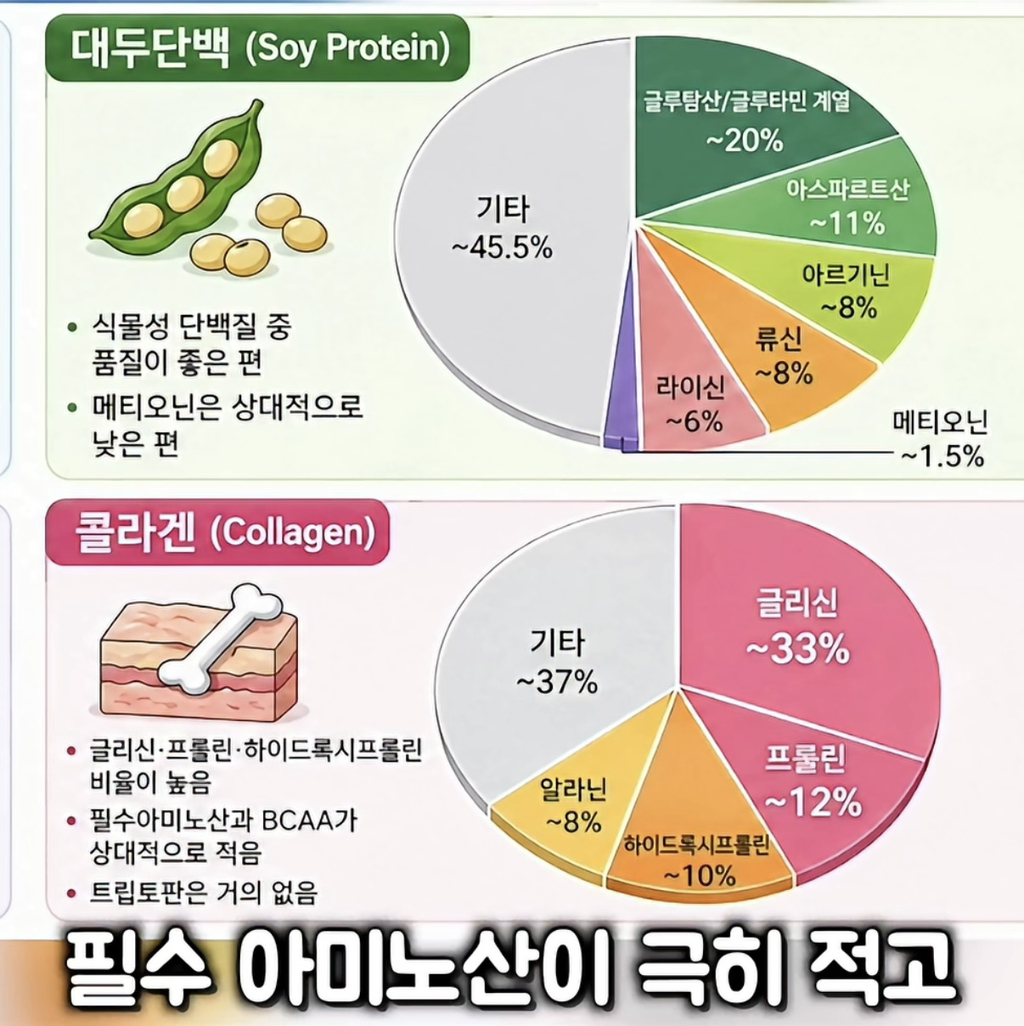 대한민국 단백질 음료 시장의 대국민 사기극 실태(프로틴 음료, 쉐이크) | 인스티즈