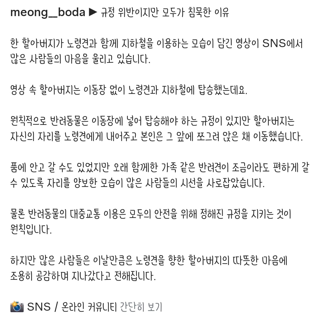규정 위반이지만 모두가 침묵한 이유 | 인스티즈