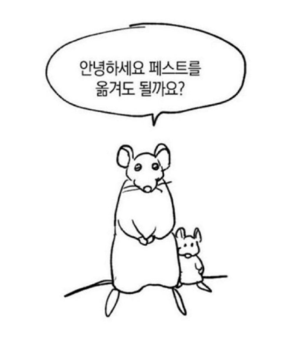 페스트를 옮긴건 쥐가 아닌 벼룩이었습니다 | 인스티즈