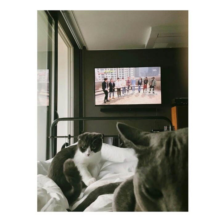 사람보다 동물이 더 많이 사는 아이돌 숙소 | 인스티즈