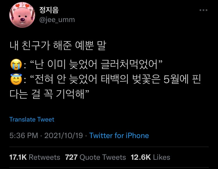더 큰 세상이 있다. 한치 앞만 보지 말거라.twt | 인스티즈