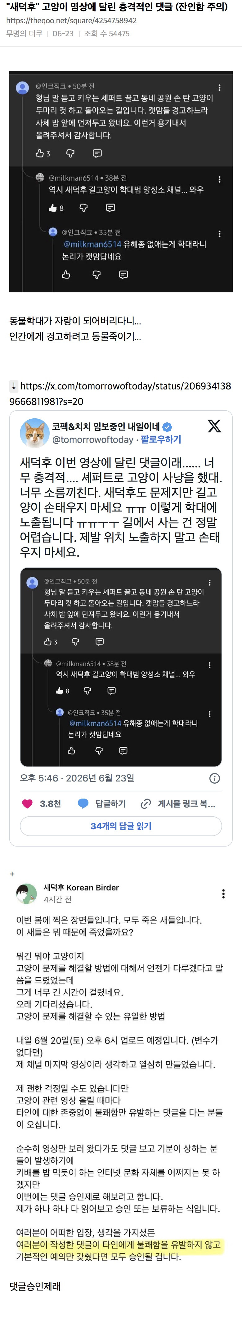 "새덕후" 고양이 영상에 달린 충격적인 댓글 (잔인함 주의) | 인스티즈