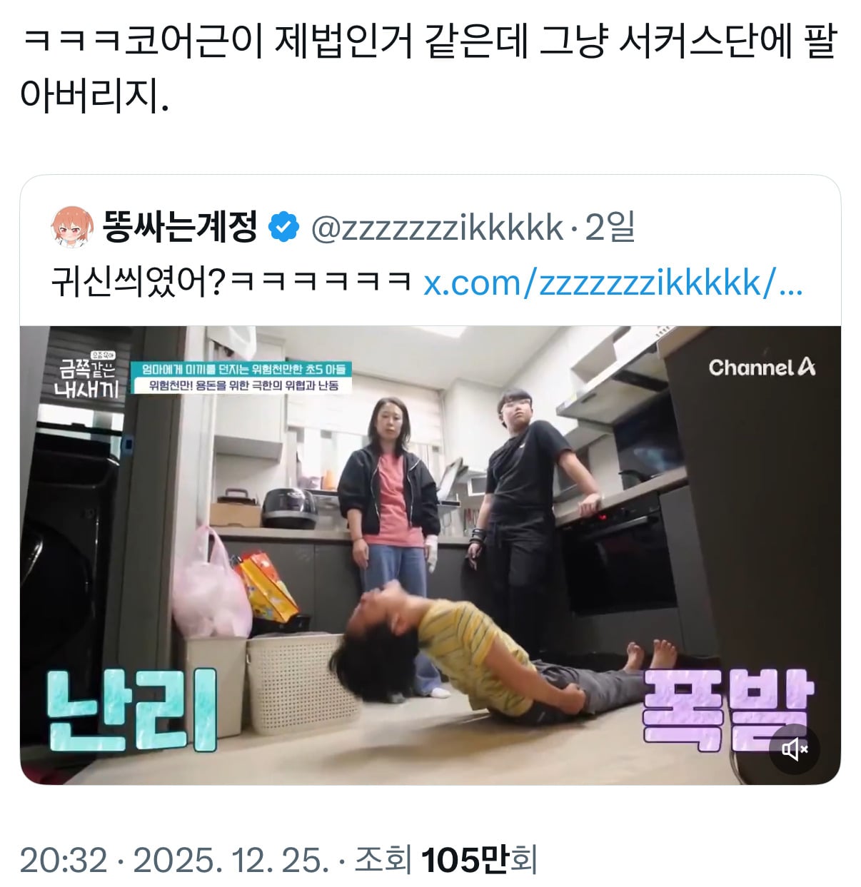 요즘 금쪽이들 근황 | 인스티즈