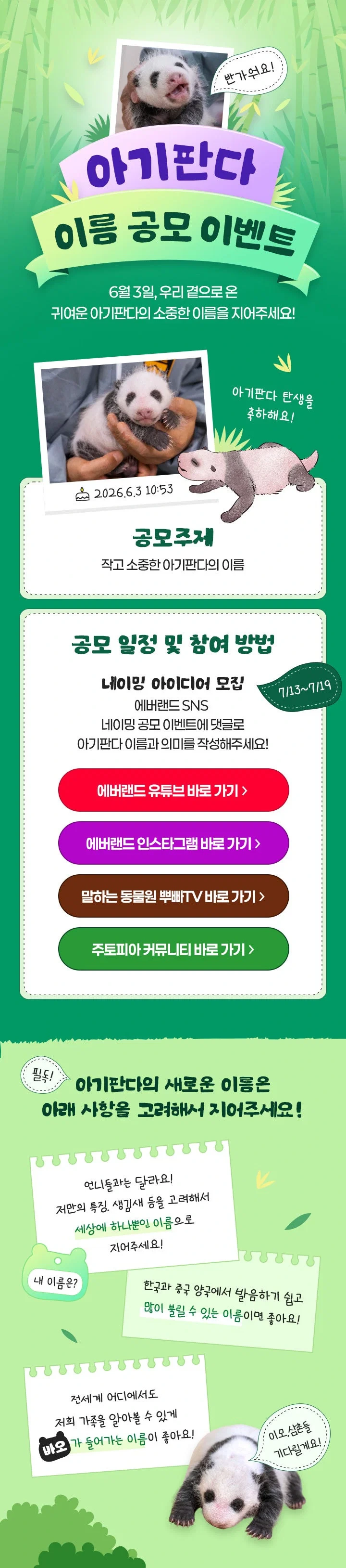 바오가족 막내 아기 판다 이름 공모 이벤트 🐼 | 인스티즈