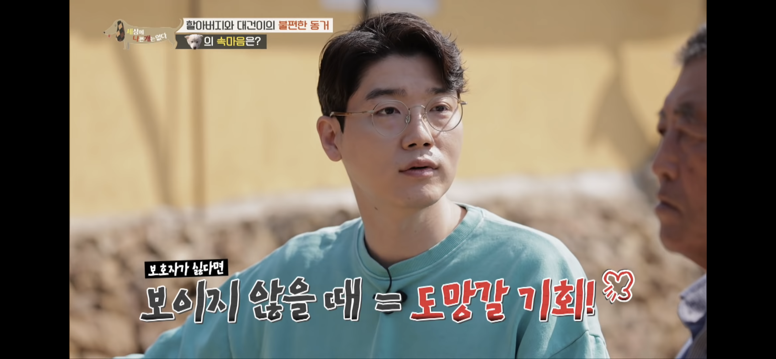 [세나개] 주인 할아버지를 무서워하는 들개 출신 대건이 | 인스티즈