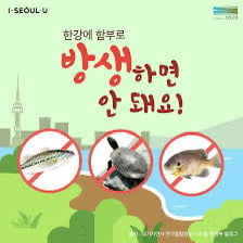 요즘 금쪽이들 근황 | 인스티즈
