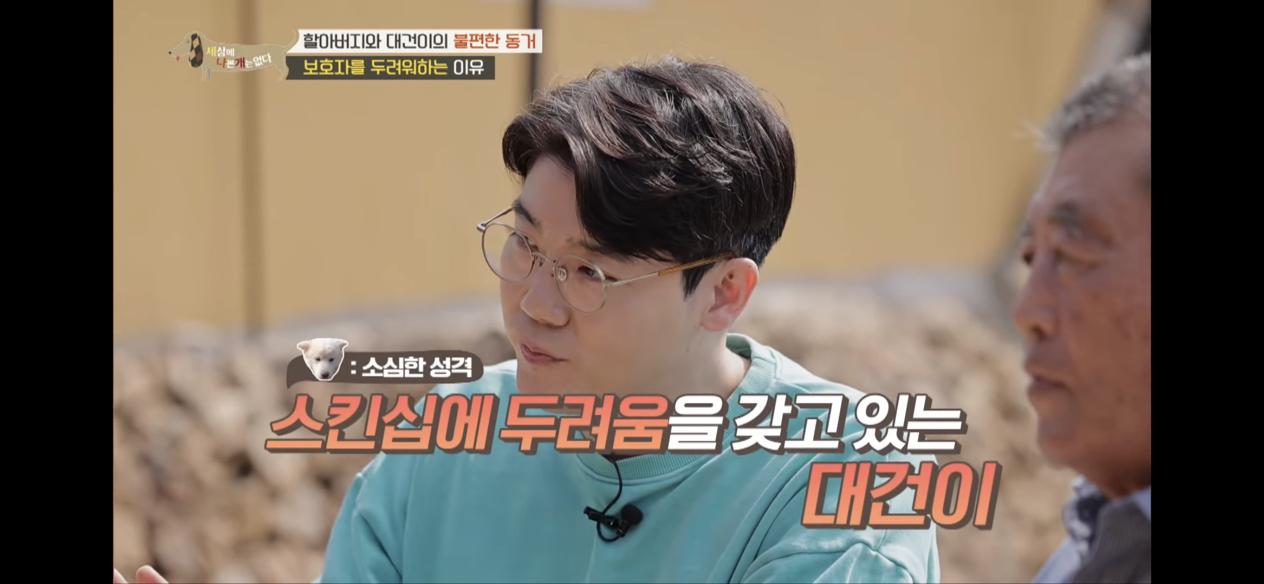 [세나개] 주인 할아버지를 무서워하는 들개 출신 대건이 | 인스티즈