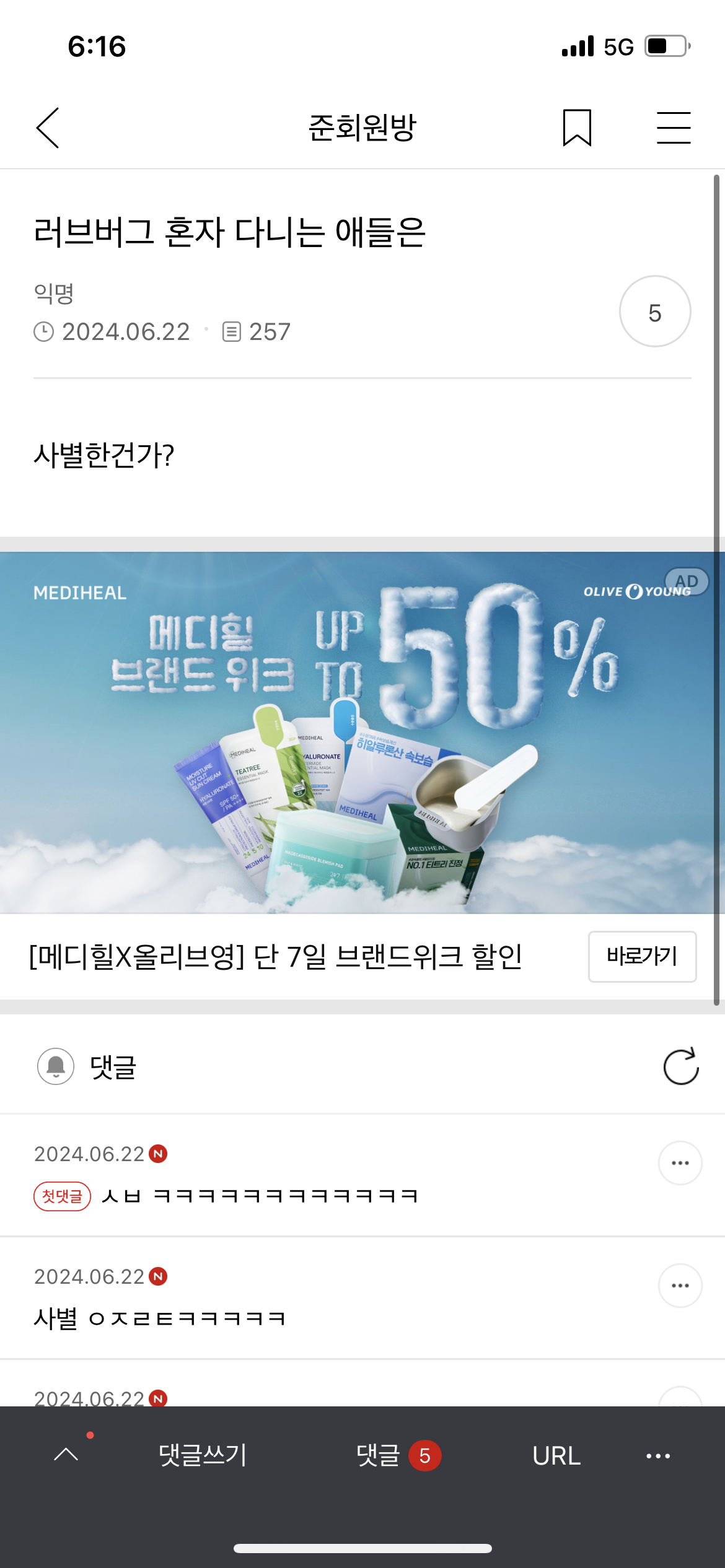 난 ㄹㅇ 내사람들 이런 거 쓰는 사람 편견있음(스압주의) | 인스티즈