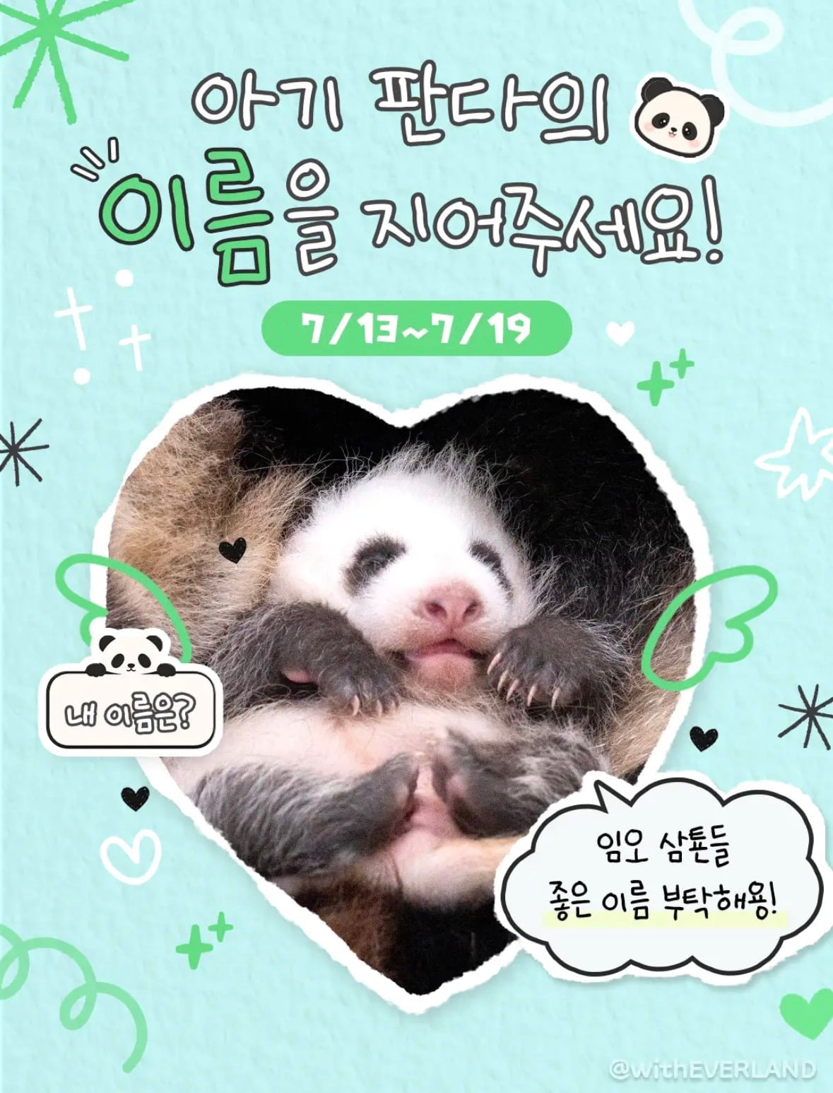 바오가족 막내 아기 판다 이름 공모 이벤트 🐼 | 인스티즈