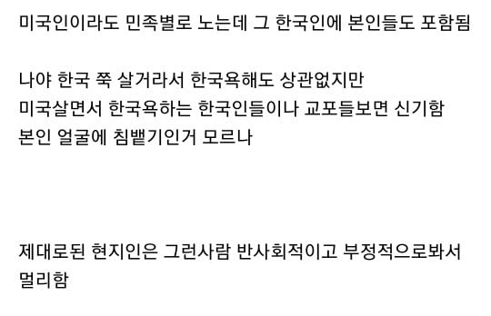 외국인들한테 한국 욕하는건 웬만하면 안하는게 좋다 | 인스티즈
