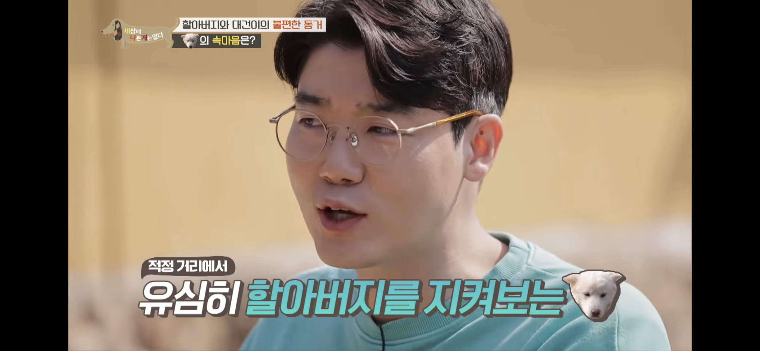 [세나개] 주인 할아버지를 무서워하는 들개 출신 대건이 | 인스티즈