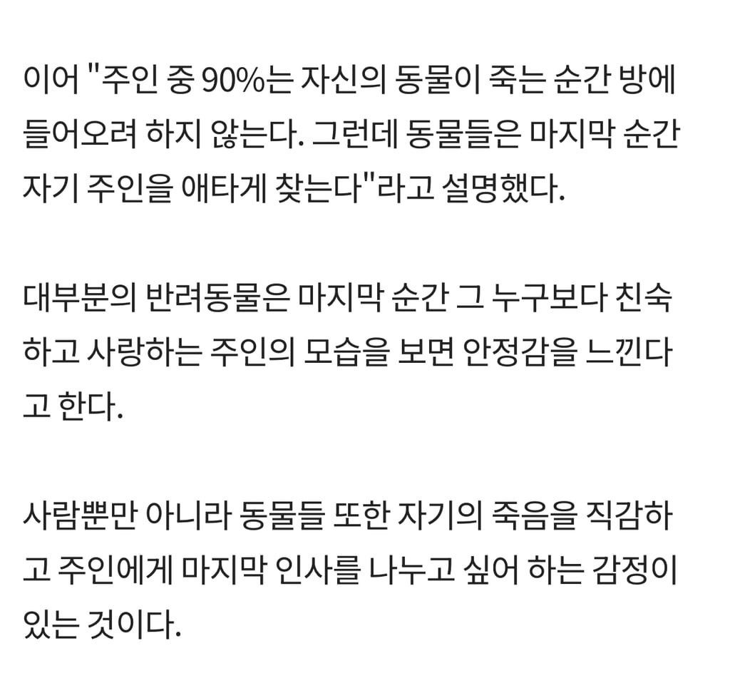 '무지개다리' 직감한 반려동물은 '마지막 인사'하려 주인 찾는다 | 인스티즈