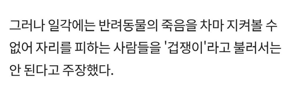 '무지개다리' 직감한 반려동물은 '마지막 인사'하려 주인 찾는다 | 인스티즈