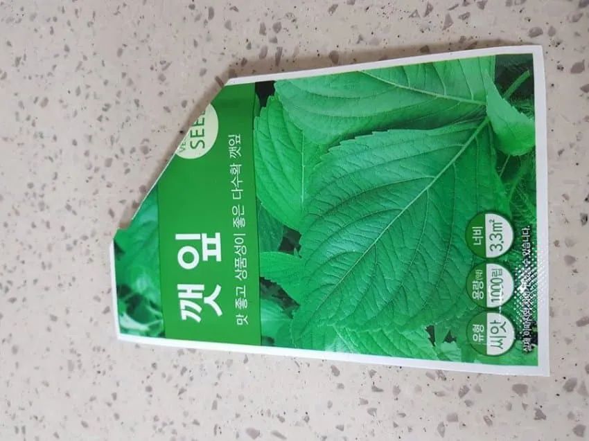 성격 급한 사람의 깻잎 키ㅇ | 인스티즈
