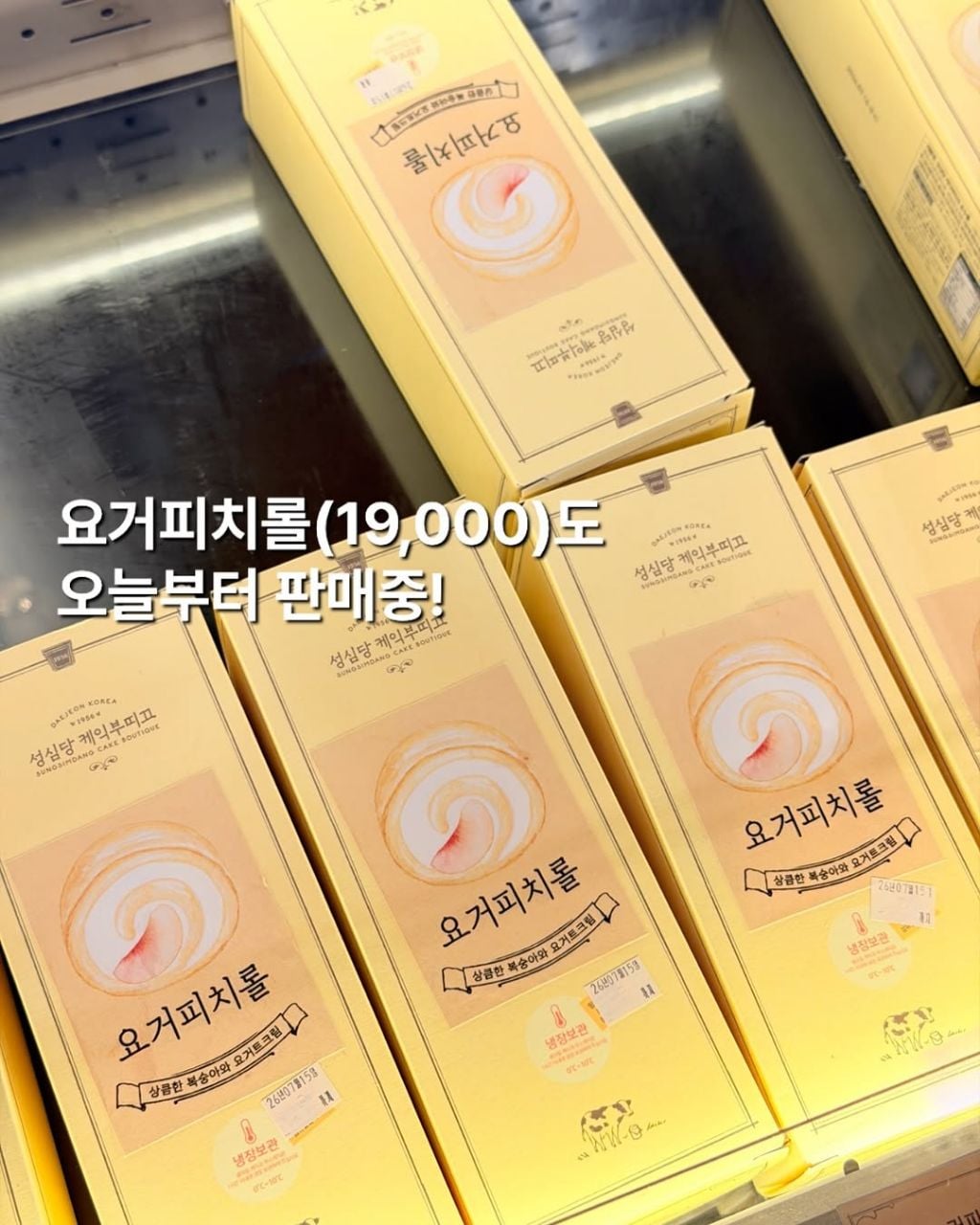 성심당 복숭아 케이크 후기 | 인스티즈