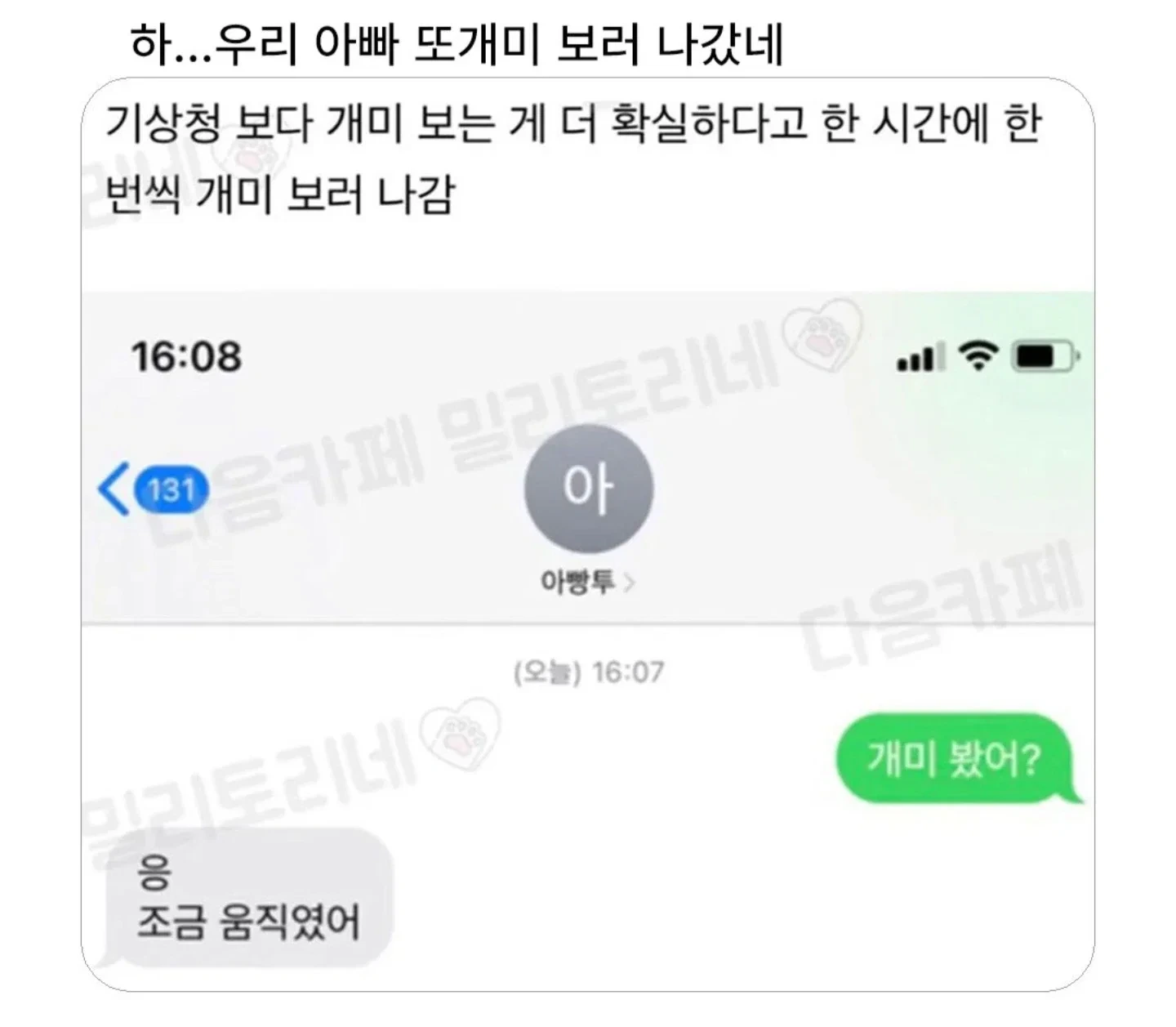하.. 아빠 또 개미보러 나갔네..... | 인스티즈