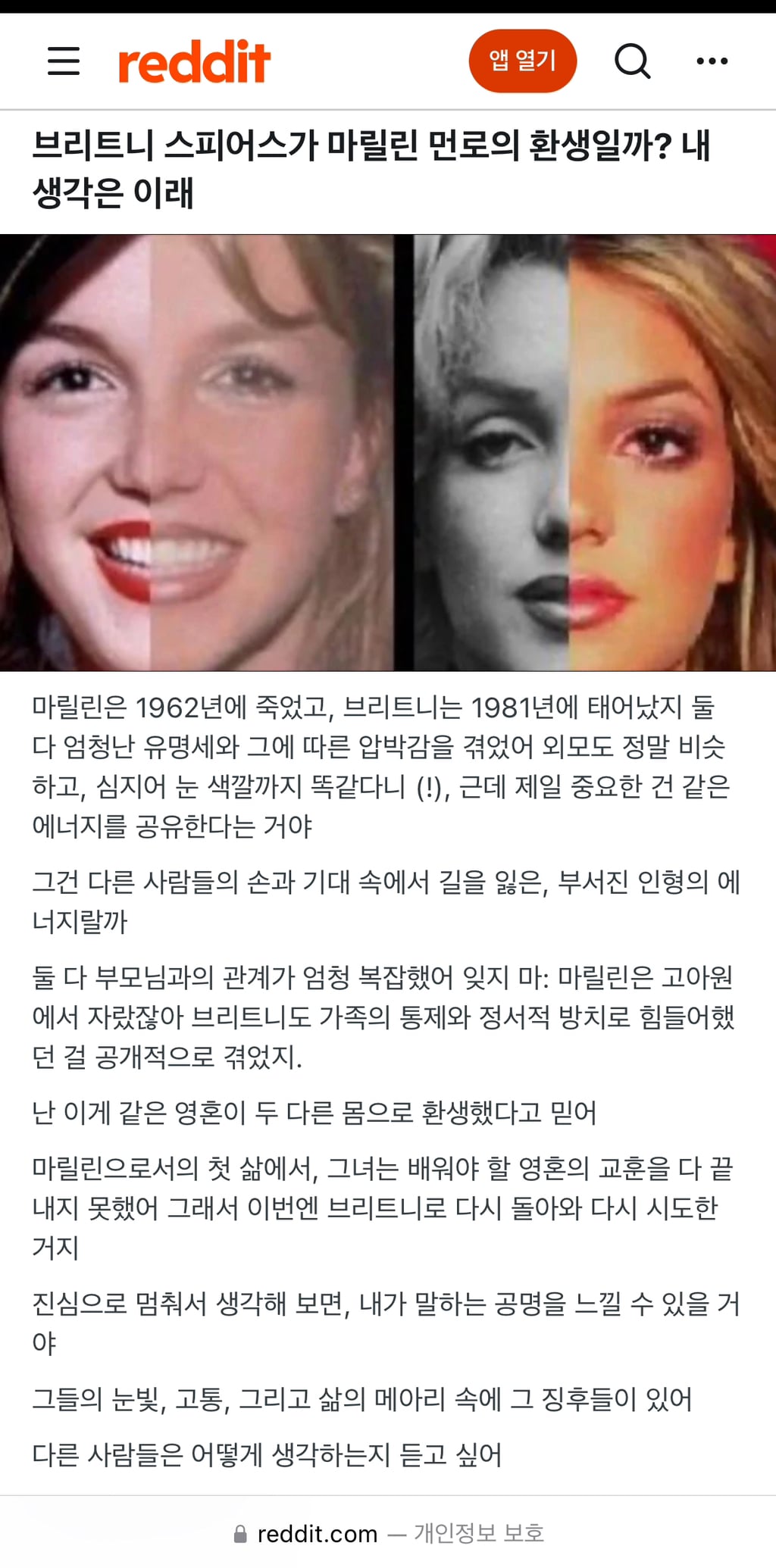 해외 네티즌들 사이에서 전생-환생 설이 돌았던 마릴린 먼로-브리트니 스피어스 | 인스티즈