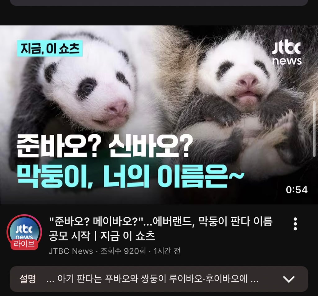 ㅁㅊ 바오가족 큰일났다 | 인스티즈