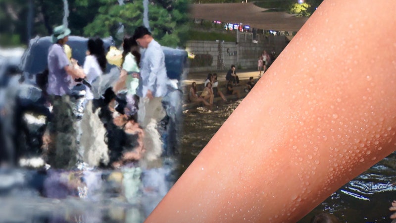 그늘도, 해가 져도 소용없다기온보다 무서운 '습도의 습격' | 인스티즈