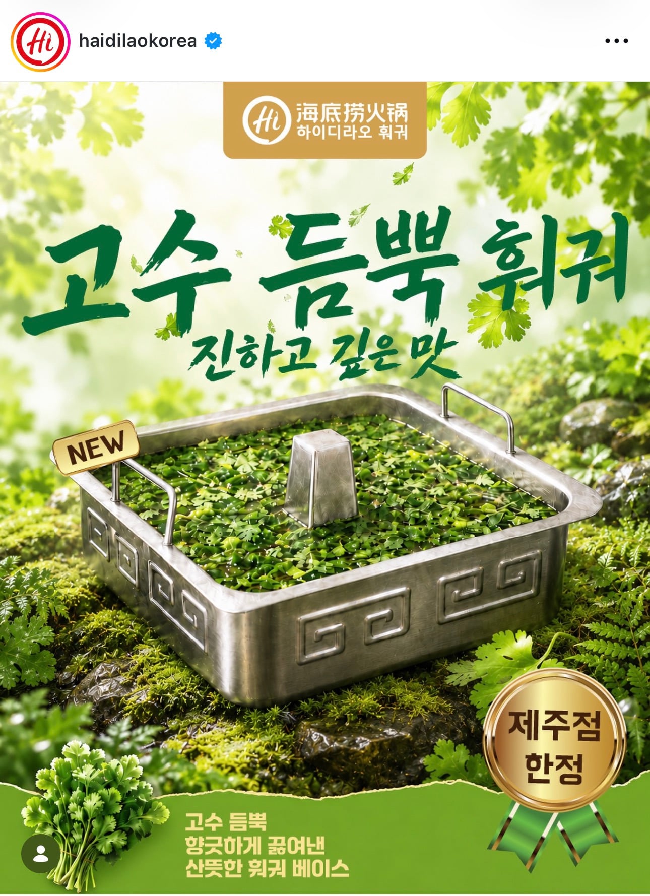 하이디라오 제주점 한정 고수듬뿍훠궈 | 인스티즈