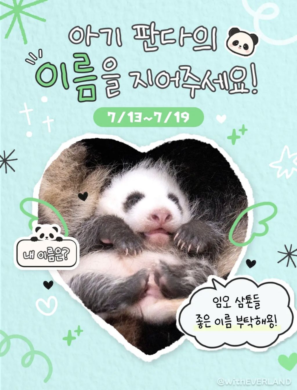 ㅁㅊ 바오가족 큰일났다 | 인스티즈