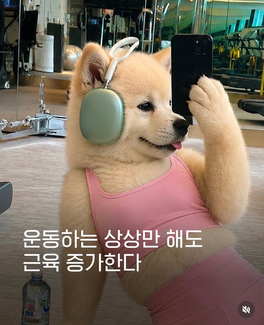 마음자로에 이은 상상운동 | 인스티즈