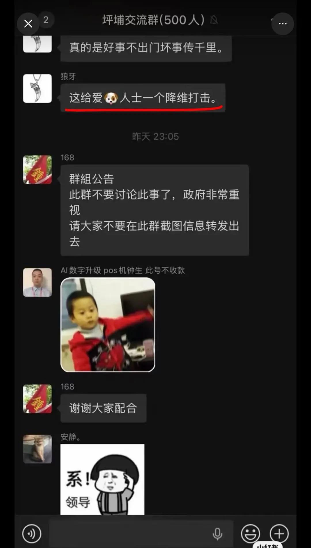 중국 유기견 왕왕이 사건 동네 주민들 단톡방 | 인스티즈