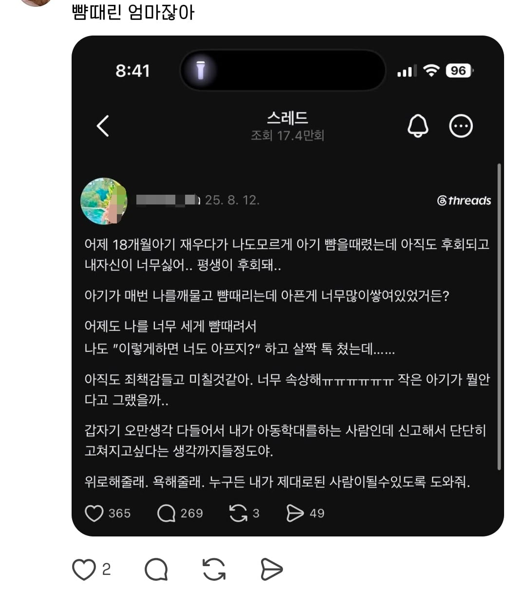 스레드에서 논란인 쌍둥이맘 계정 | 인스티즈