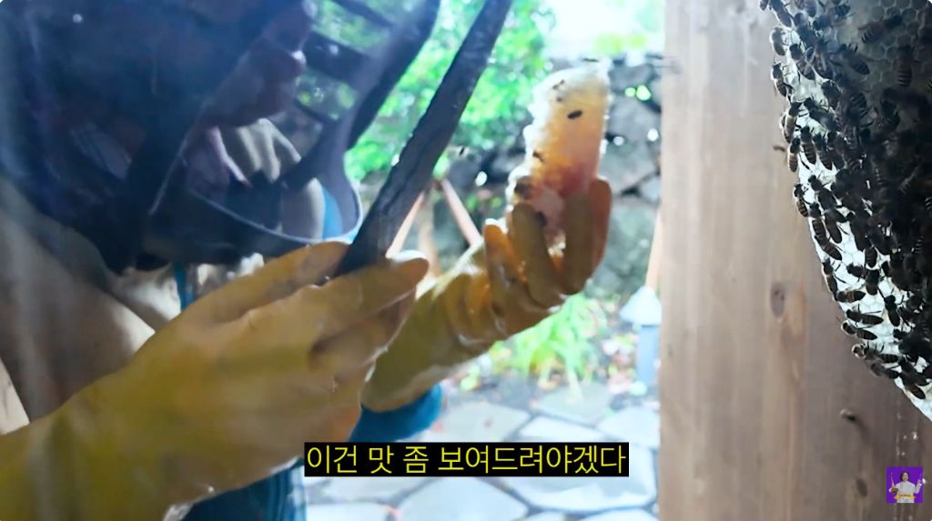 이벤트가 끊이지 않는 김숙의 제주도 집 | 인스티즈