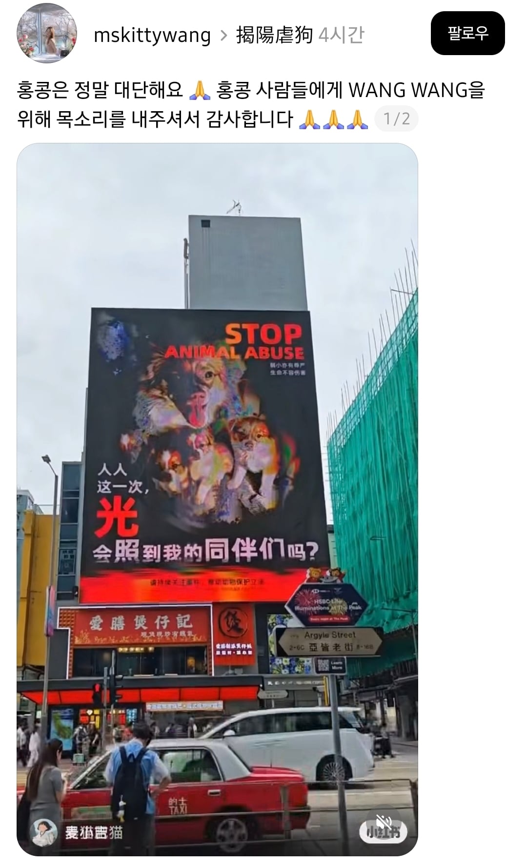 뉴욕 타임스퀘어 전광판에도 걸린 중국 동물 학대 사건 추모 사진 | 인스티즈