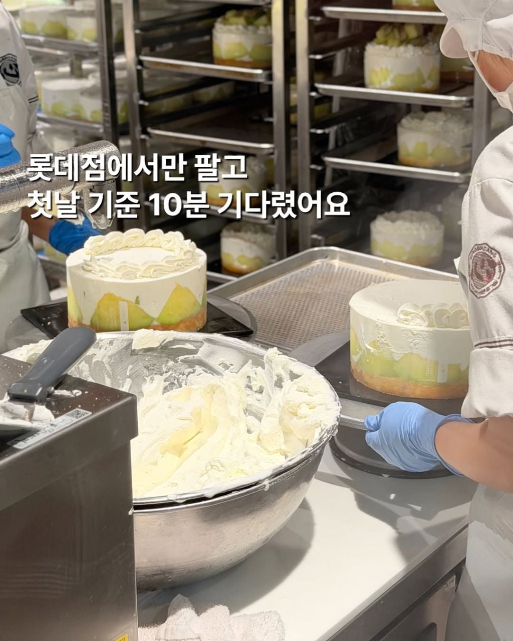 성심당 복숭아 케이크 후기 | 인스티즈