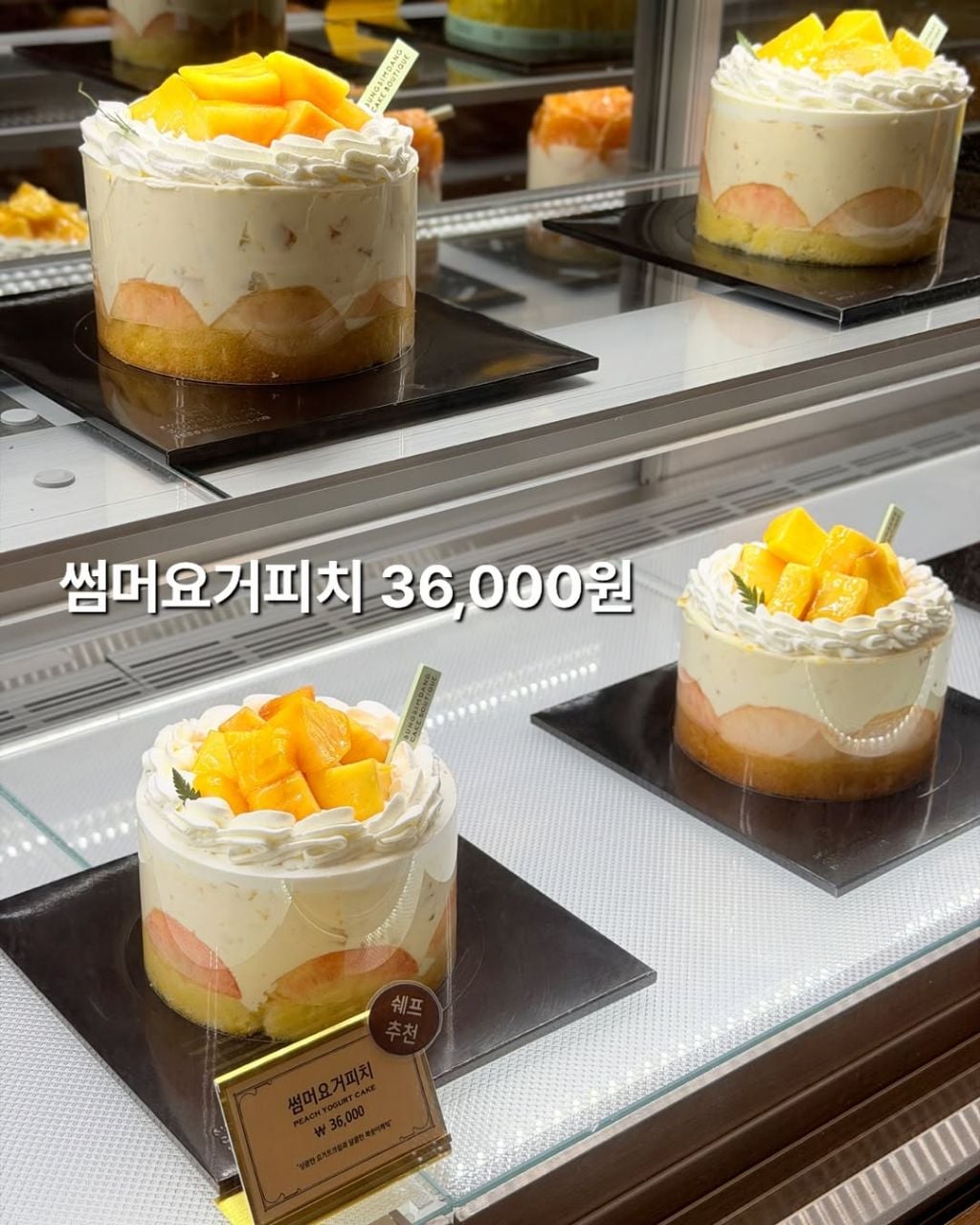 성심당 복숭아 케이크 후기 | 인스티즈