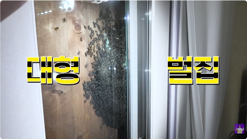 이벤트가 끊이지 않는 김숙의 제주도 집 | 인스티즈