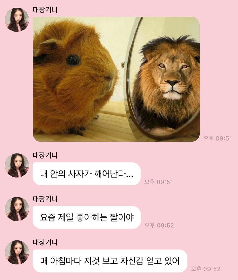 아이브 레이가 요즘 아침마다 힘 얻는다는 짤ㅋㅋㅋㅋㅋ | 인스티즈