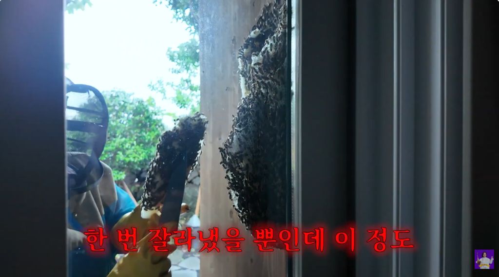 이벤트가 끊이지 않는 김숙의 제주도 집 | 인스티즈